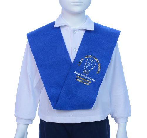 BANDA COLEGIO BORDADA
