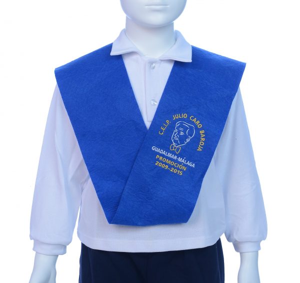BANDA COLEGIO BORDADA